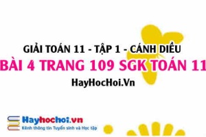 Giải bài 4 trang 109 Toán 11 tập 1 SGK Cánh Diều